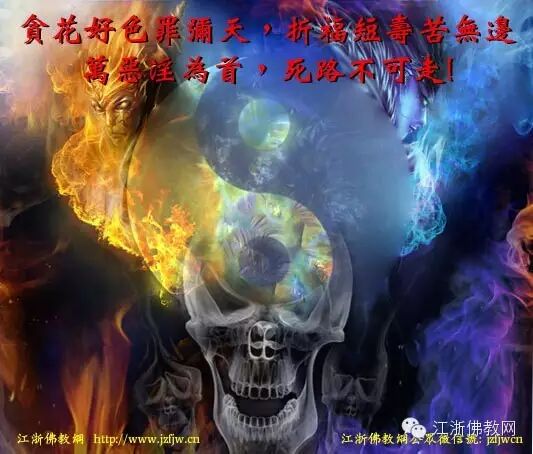 ���������Ǻ����̸��α���������Ե����