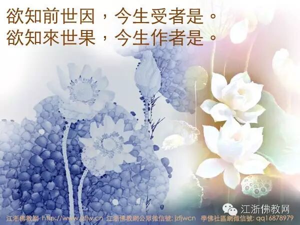 ������ʶ����_�������ٸ��ҹ������������