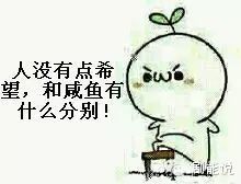 可怜天下男人心 电视剧_g312剧情网楚乔传_楚乔传电视连剧