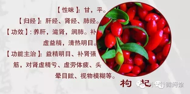 【水果伟哥】枸杞的17种保健养生功效