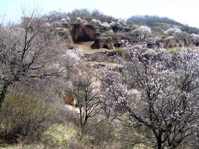 赏花古高速｜秦直道自驾探索之旅（2018全新升级）