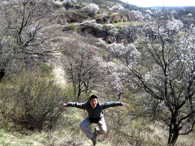 赏花古高速｜秦直道自驾探索之旅（2018全新升级）