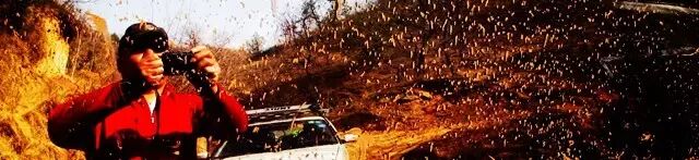 赏花古高速｜秦直道自驾探索之旅（2018全新升级）