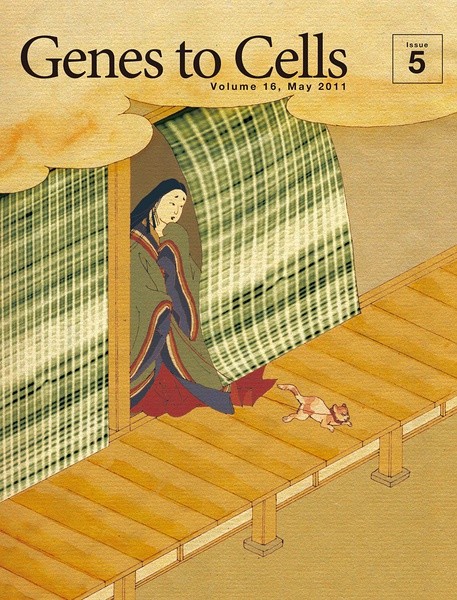 精妙绝伦的《日本分子生物学会》杂志封面