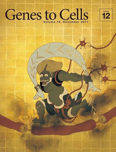精妙绝伦的《日本分子生物学会》杂志封面