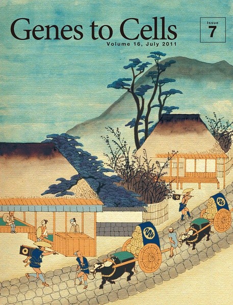 精妙绝伦的《日本分子生物学会》杂志封面