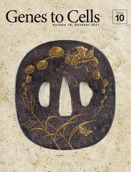 精妙绝伦的《日本分子生物学会》杂志封面