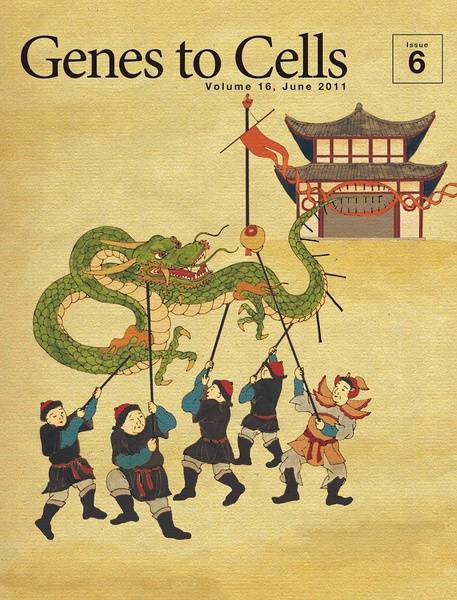 精妙绝伦的《日本分子生物学会》杂志封面