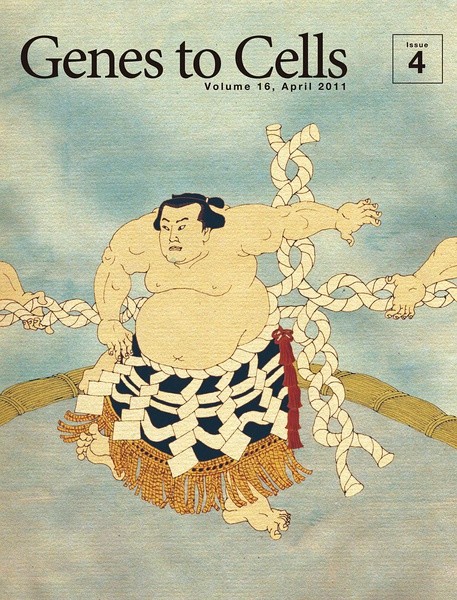 精妙绝伦的《日本分子生物学会》杂志封面