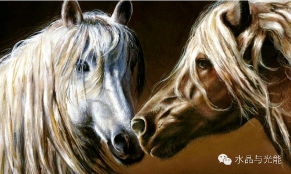 天才少女艾奇恩：上帝之手（上）