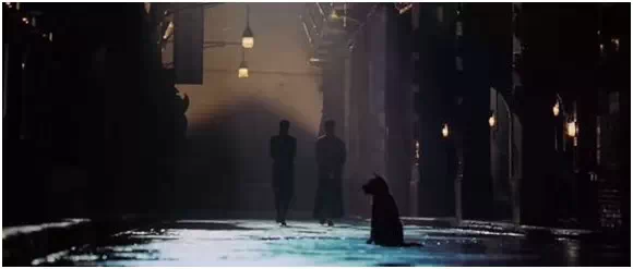 水瓶座新月：念念不忘，必有回响（YAO叔）