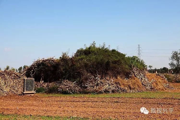 曹大家墓位于丰仪乡大姑村东北约500米处,东距三渠村约300米,墓址