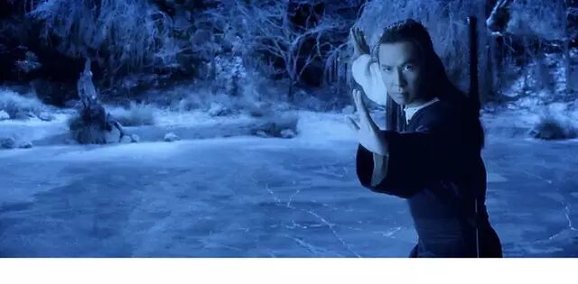 《卧虎藏龙2》是甄子丹连续第八部烂片