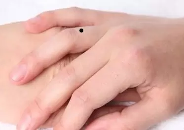 ��ʲô�룬��ʲô�������ſ�����