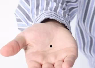 ��ʲô�룬��ʲô�������ſ�����