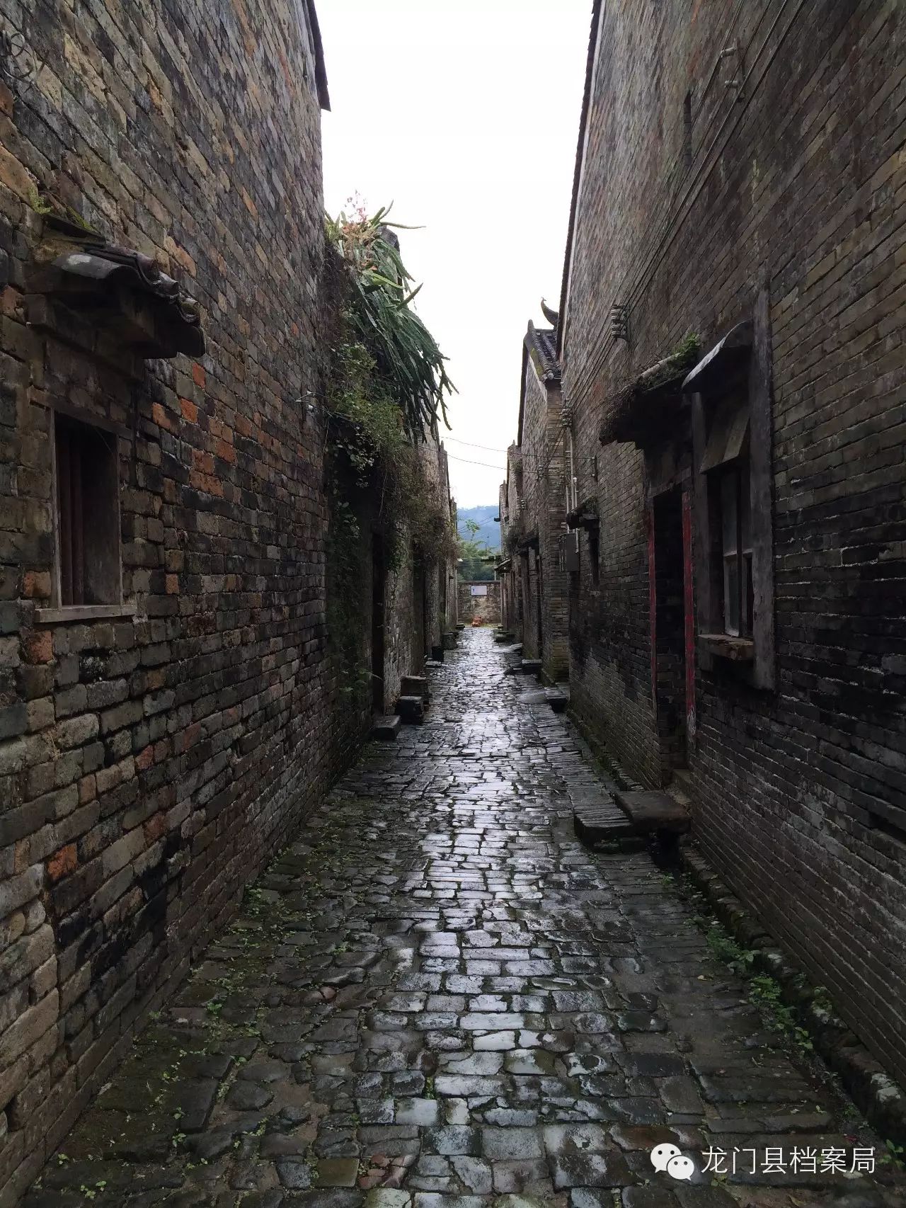 【龙门记忆】“诗礼巨族”廖半县 枝繁叶茂遍龙门(转载) - 廖氏通 - 廖氏通主页 loading...