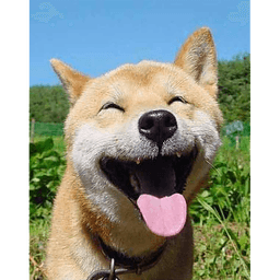 爆笑一刻,黄渤和“孙红雷”玩自拍