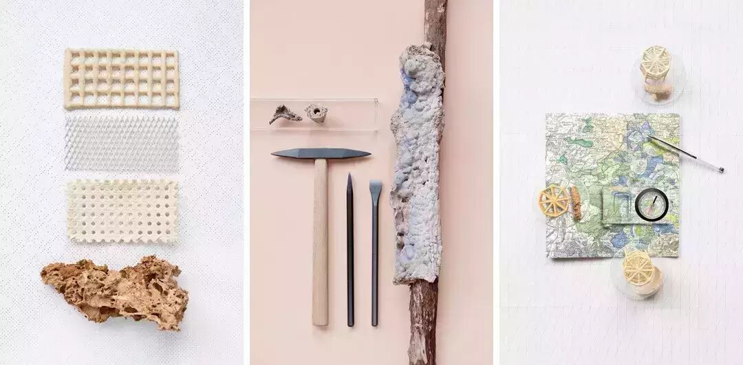 ...能种植的石材 碳酸钙 石化矿物质培育 Laura Lynn Jansen ...