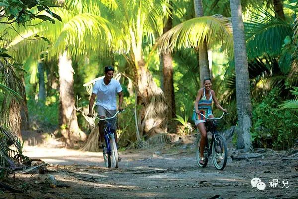 大溪地白兰度私岛
