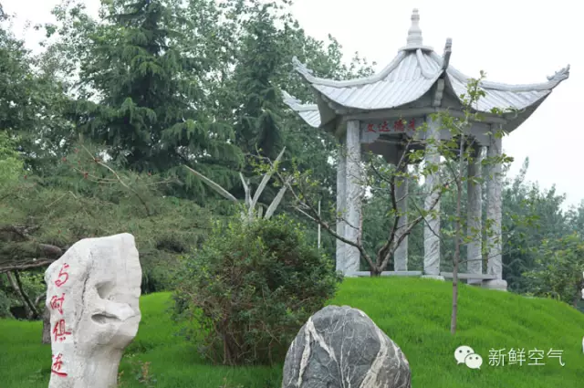肥城师范何处寻 - 好学 - 悠悠岁月 肥城师范何处寻 - 好学 - 悠悠岁月