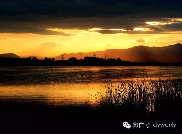 出门去钓鱼哇,去~钓~鱼~935 / 作者:美丽的梦花 / 帖子ID:113271 出门去钓鱼哇,去~钓~鱼~935 / 作者:美丽的梦花 / 帖子ID:113271