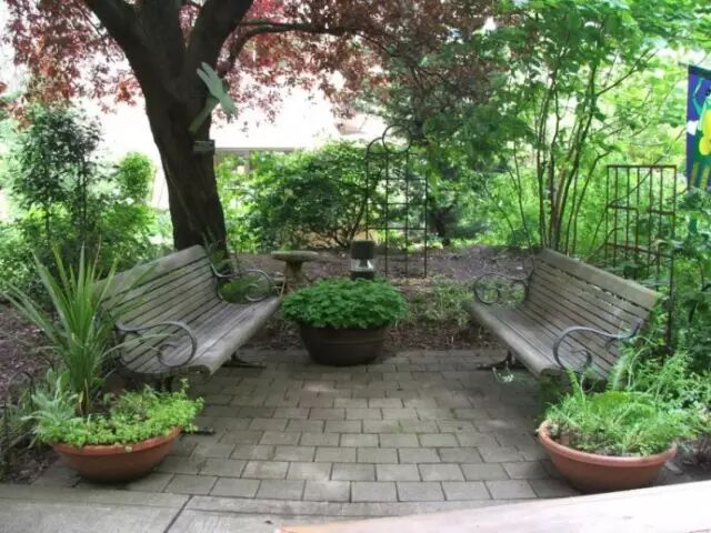 关于医院园林景观植物配置的几点想法