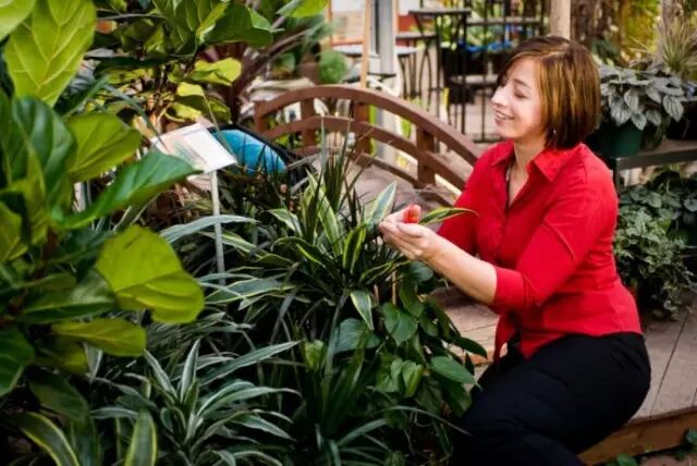 关于医院园林景观植物配置的几点想法