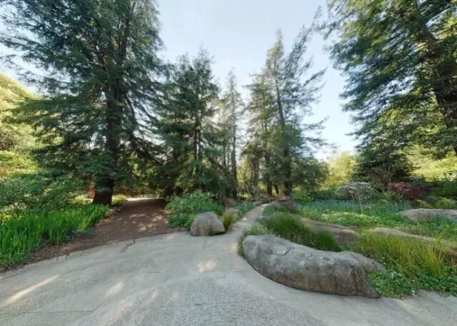 关于医院园林景观植物配置的几点想法