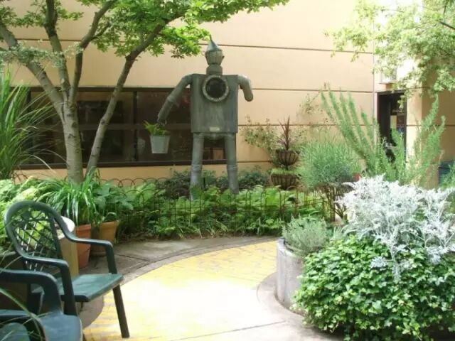 关于医院园林景观植物配置的几点想法