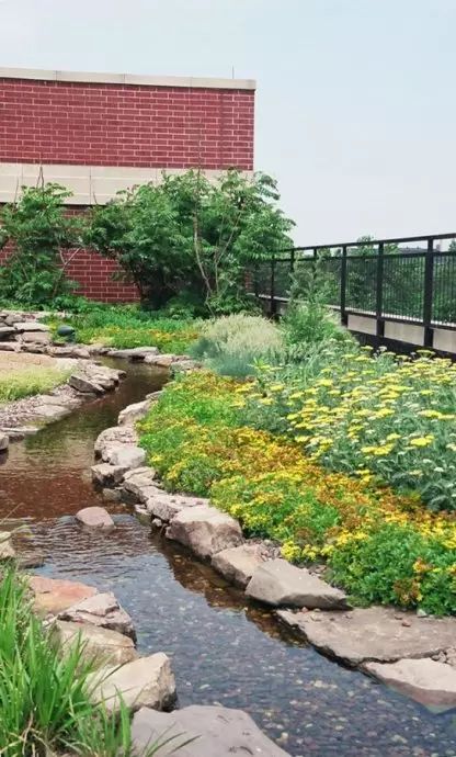 关于医院园林景观植物配置的几点想法