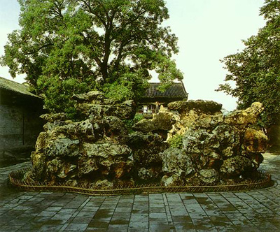 『植设』园林植物造景设计