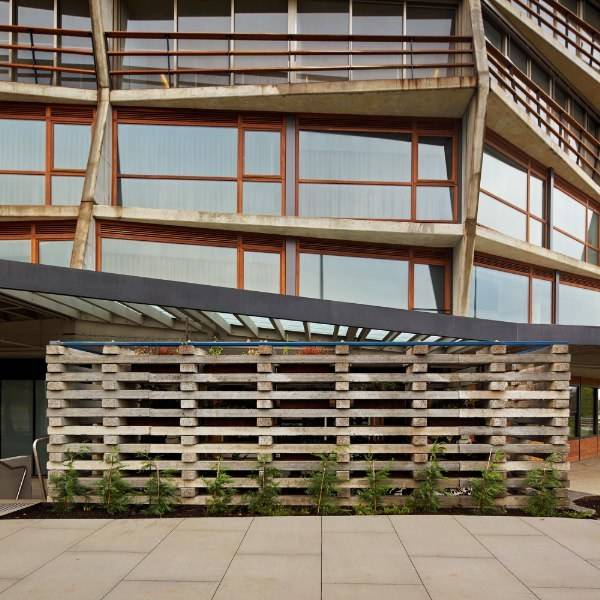 给你光与木材，你能造出什么样的空间？