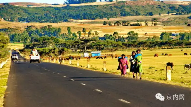 任性！一个人骑车去非洲-图片26