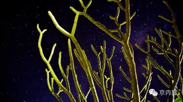 任性！一个人骑车去非洲-图片23