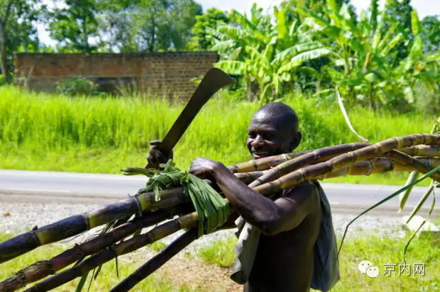 任性！一个人骑车去非洲-图片9
