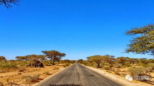 任性！一个人骑车去非洲-图片29