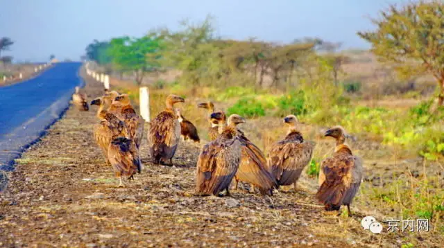 任性！一个人骑车去非洲-图片30