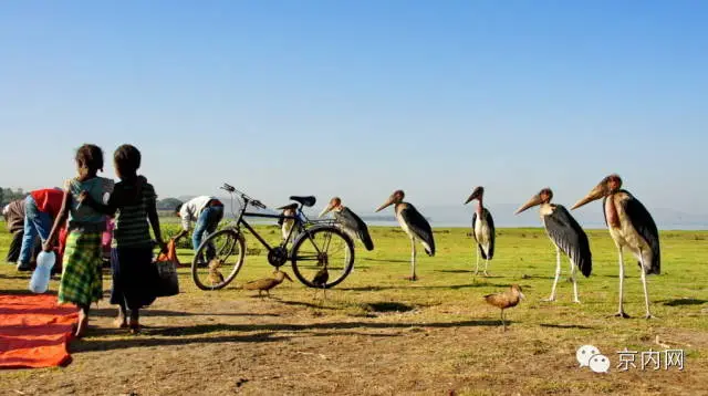 任性！一个人骑车去非洲-图片13