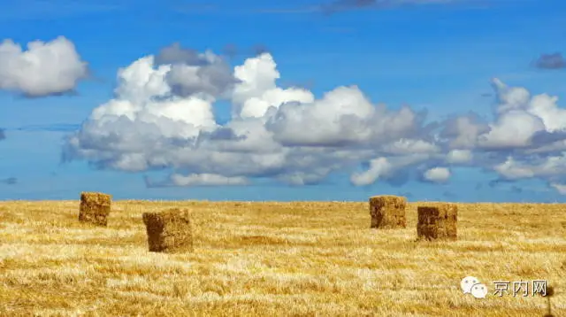 任性！一个人骑车去非洲-图片32