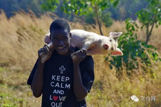 任性！一个人骑车去非洲-图片7