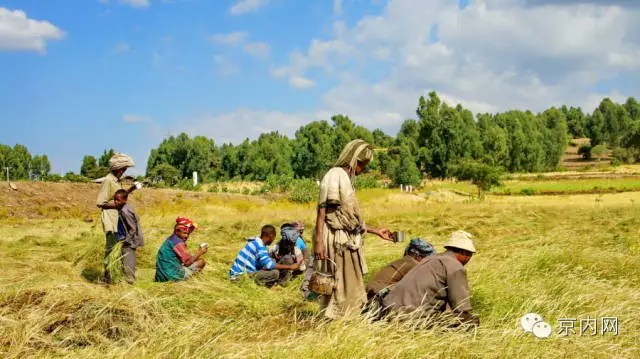 任性！一个人骑车去非洲-图片33