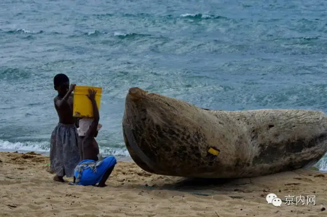任性！一个人骑车去非洲-图片20