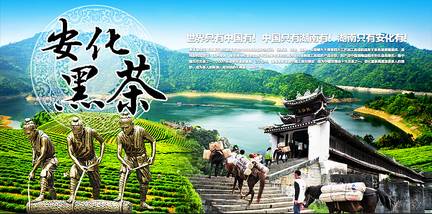 黑茶的好处已经越来越多地为人所知