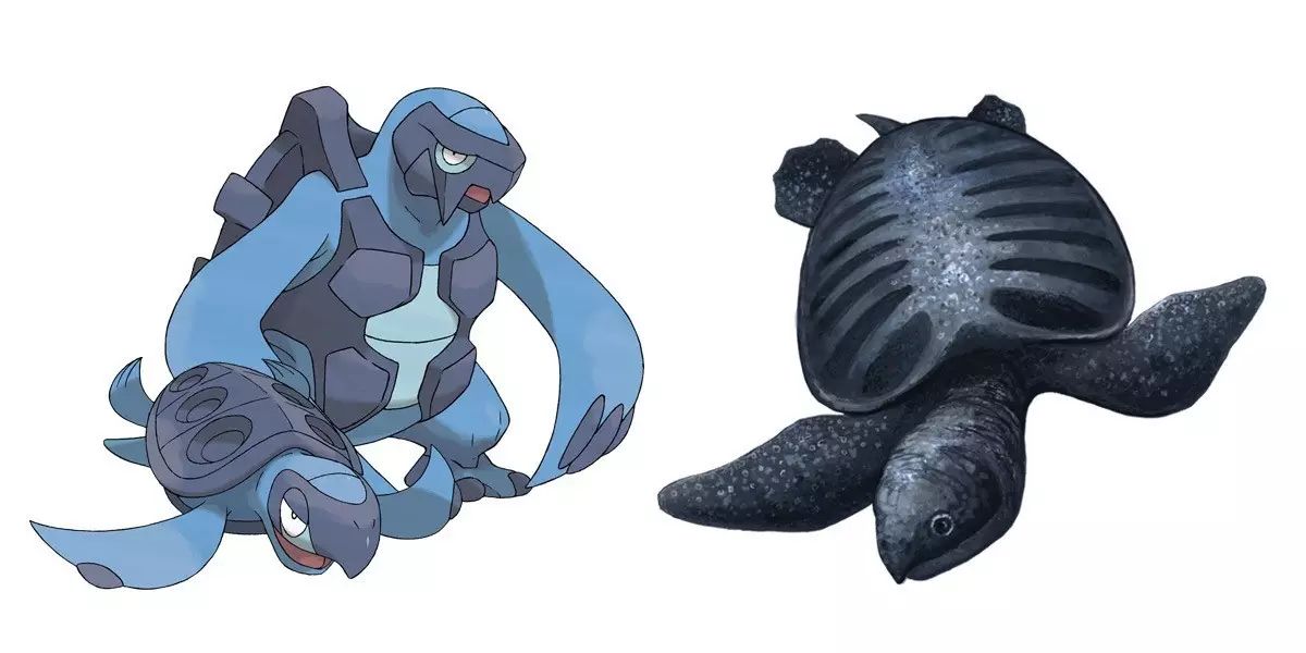 tirtouga and carracosta(原盖海龟和肋骨海龟): archelon(古巨龟)
