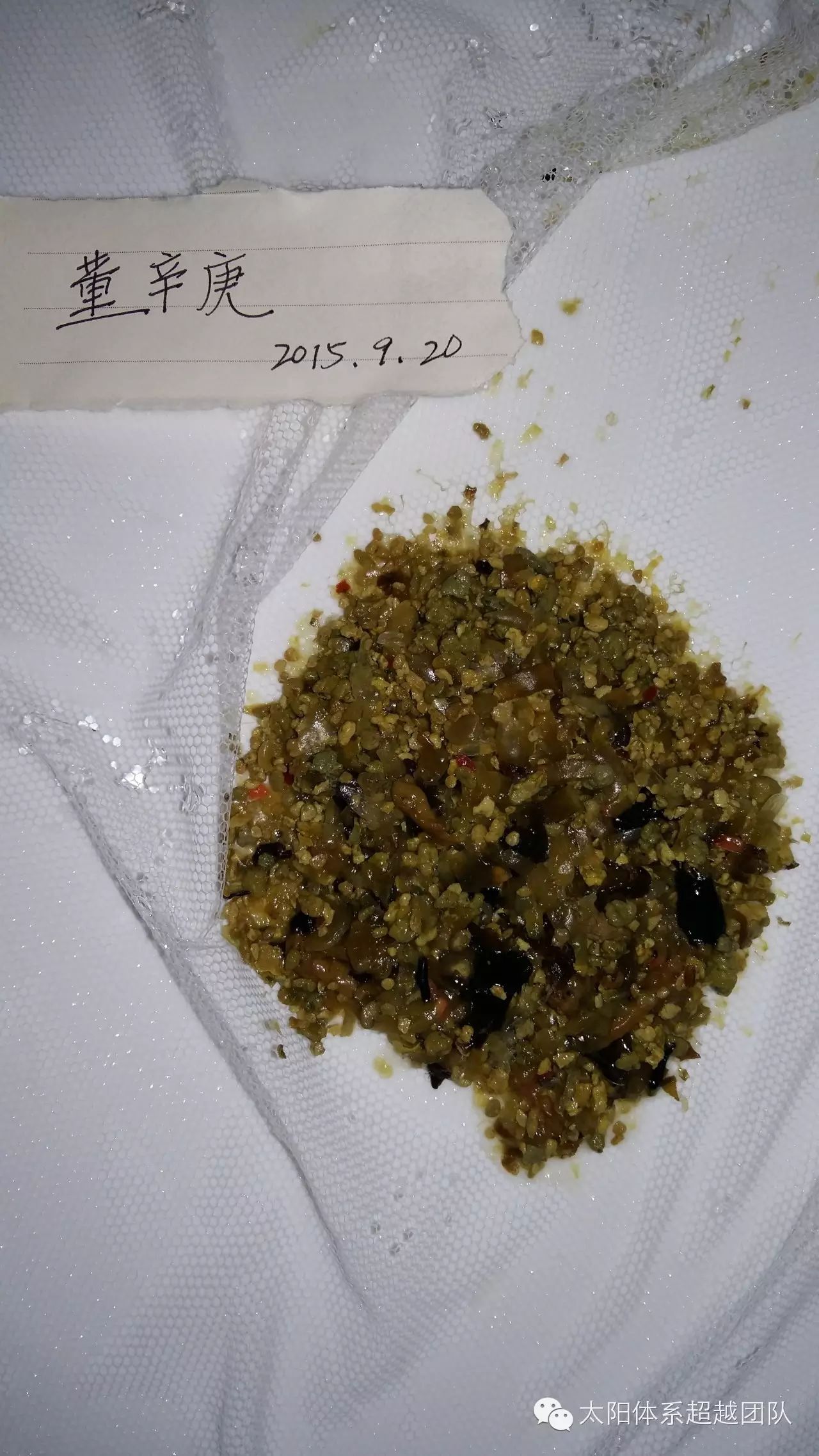 肾虚,肾炎,肾结石,前列腺炎,尿毒症等.