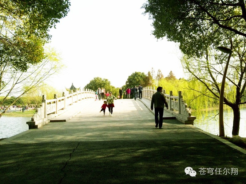 在昆山别总想着去森林公园、亭林公园、黄河路，这才是昆山春天最值得去的地方