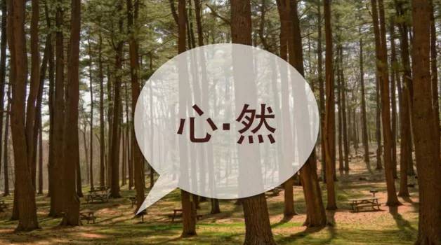  微信公众号排版手册