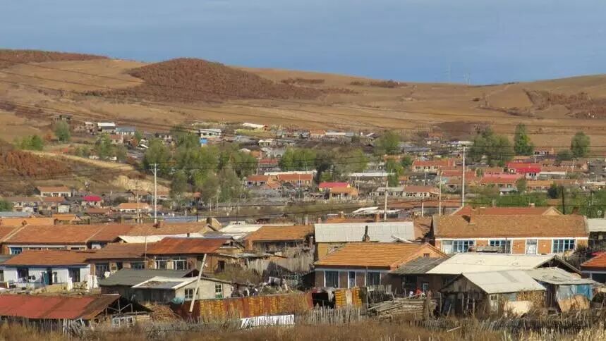 加区人民对放开二胎怎么说?憋住别笑…-怀孕期