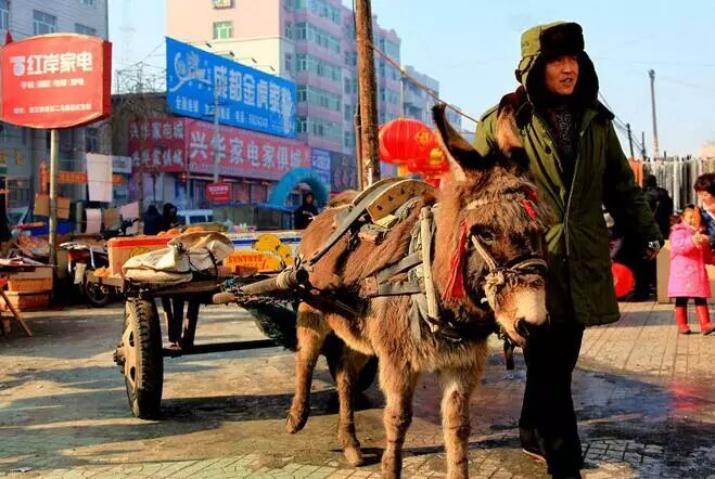 加区人民对放开二胎怎么说?憋住别笑…-怀孕期