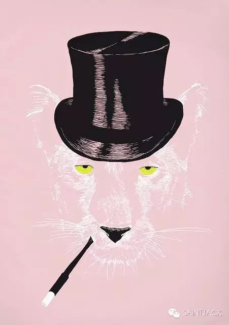 The Pink Panther   粉红豹